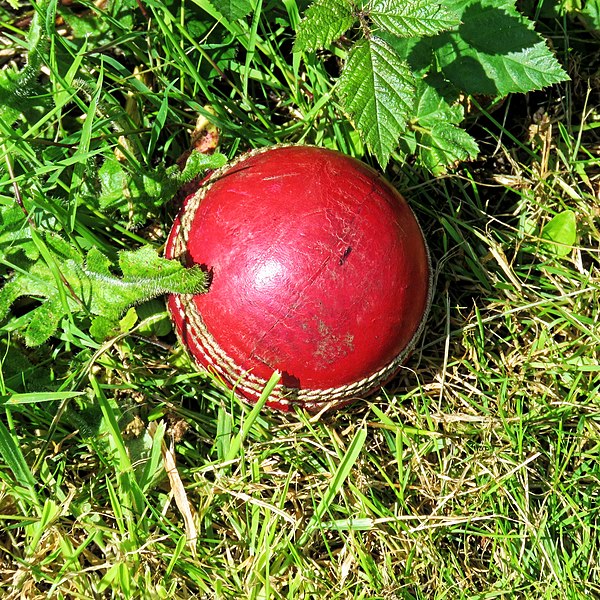 File:High Beach Cricket Club cricket ball High Beach, Essex, England 2.jpg