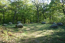 Kullaberg: Geologi, Topografi, Naturen på Kullaberg