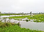 Hochwasser Parthe Borsdorf.jpg