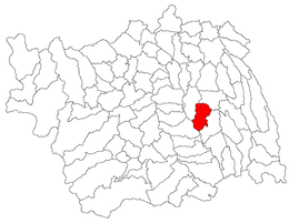 Horgești - Carte