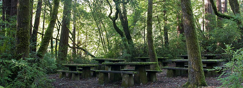 File:Huckleberry Flat picnic area (3172631077).jpg