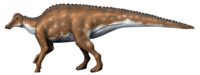 Hypracosaurus NT.png