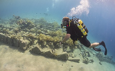 Scuba diver at the Gulf of Aqaba