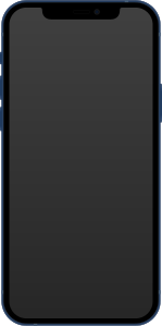 iPhone 12 in Blau