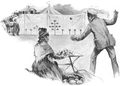 Illustration by Frank Feller for 'Marksmanship' by Gilbert Guerdon in the July 1894 'Strand Magazine' (pp.11-21)-Via Hathi Trust-Dead on the Cocoa-nuts.png