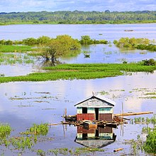 El paisaje amazónico que rodea a Iquitos es una gran referencia del inherente turismo ecológico que beneficia a la ciudad.