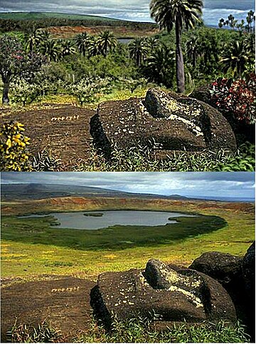 Ecorregión terrestre bosques latifoliados subtropicales de Rapa Nui