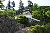 Izushi castle07nt3200.jpg