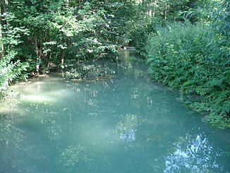 The Kalkach shortly after its source (upstream)