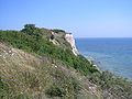 cliffs at the cape