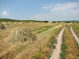 Хворостянівка