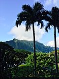 Thumbnail for Hinakaimauliʻawa