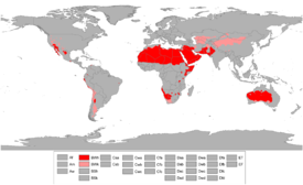 Localización de los climas áridos del mundo. En rojo oscuro áridos cálidos, en rojo claro áridos fríos.