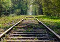 * Nomination Rail tracks of the Moers–Hüls–Krefeld railway line --Carschten 00:35, 25 April 2020 (UTC) * Promotion  Support Good quality. --Podzemnik 02:07, 25 April 2020 (UTC)
