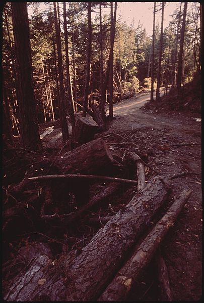 File:LOGGING ROAD ON ORCAS ISLAND - NARA - 545262.jpg