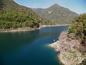 View over the lake, 2006