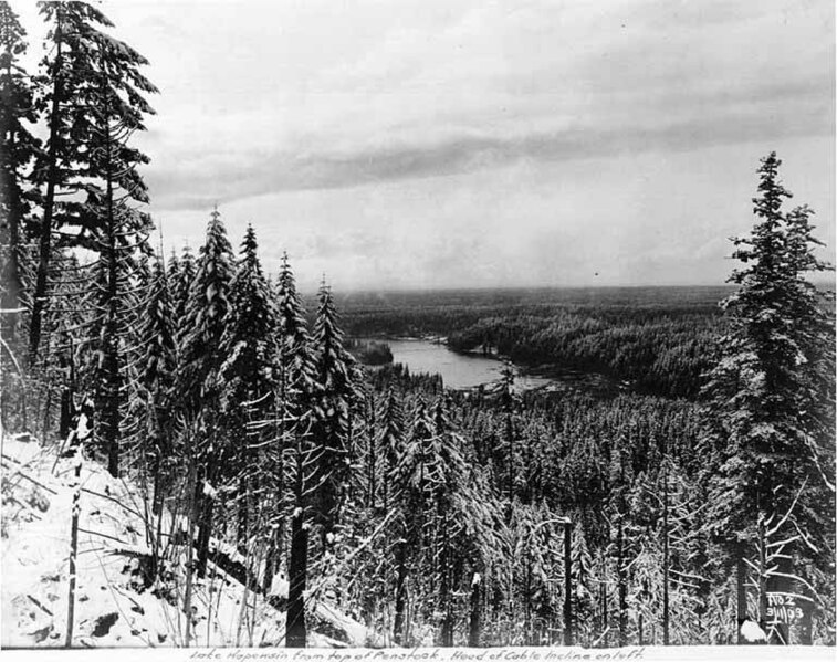 File:Lake Kapowsin as seen from top of penstock site, March 11, 1903 (SPWS 0).jpg