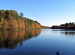 Lake Lynn (Raleigh, North Carolina)