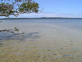 Der Lake Weyba liegt zwei Kilometer von der Küstenlinie entfernt.