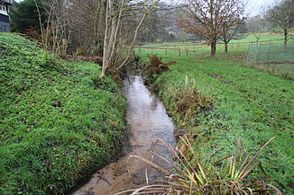 The Laudenbach in Laudenbach