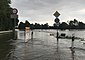 Überflutete Straße an der Leine in Niedersachsen