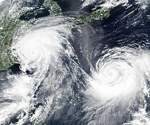 19年の台風 Wikipedia
