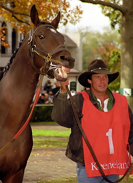 File:Lexington Kentucky - Keeneland Race Track "Paddock" (2144539125) (2).jpg