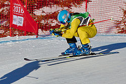 Jeux olympiques de la jeunesse.