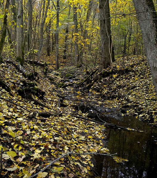 File:Lina Nature reserve.JPG