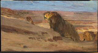 Lions dans le désert