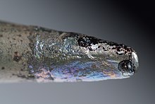 Used plated tip with remains of solder flux Loetspitze IMGP9290.jpg