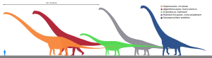 Longest dinosaurs2.svg