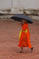 Genç bir keşiş, Luang Prabang