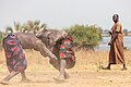 Lucha entre clanes de la tribu Mundari, Terekeka, Sudán del Sur, 2024-01-29, DD 145