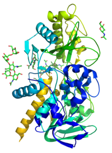 Figure 1: Model of mandelonitrile lyase based on PDB entry 1JU2 Mandelonitrile lyase.png
