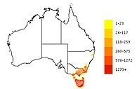 Figure 1: Distribution of P. bicolor across Australia. Mapofpbicolor.jpg
