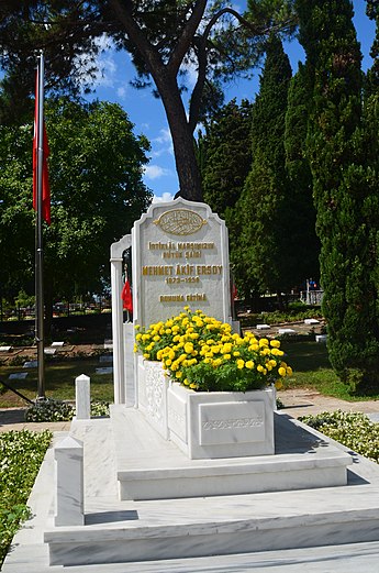 Кладбище мучеников. Могилы в Турции. Турецкое кладбище. Кладбище в Стамбуле. Могилы в Стамбуле.