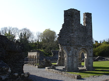 The now-ruined Mellifont Abbey, the centre of medieval Irish Cistercian monasticism and of the "Mellifont rebellion"