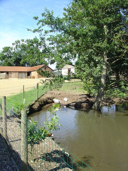 File:Melsop Farm - geograph.org.uk - 357676.jpg