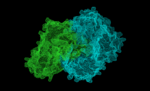 Thumbnail for 2-Succinyl-5-enolpyruvyl-6-hydroxy-3-cyclohexene-1-carboxylic-acid synthase