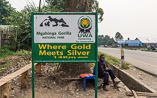 <span class="mw-page-title-main">Mgahinga Gorilla National Park</span> National Park in Uganda