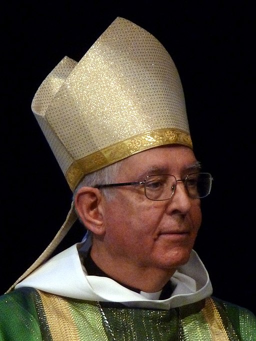 Mgr Guy de Kerimel (2015) (3)