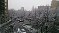 Mirafiori nord neve, Torino 2016.jpg