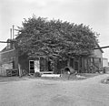 Het molenaarshuis in 1966.