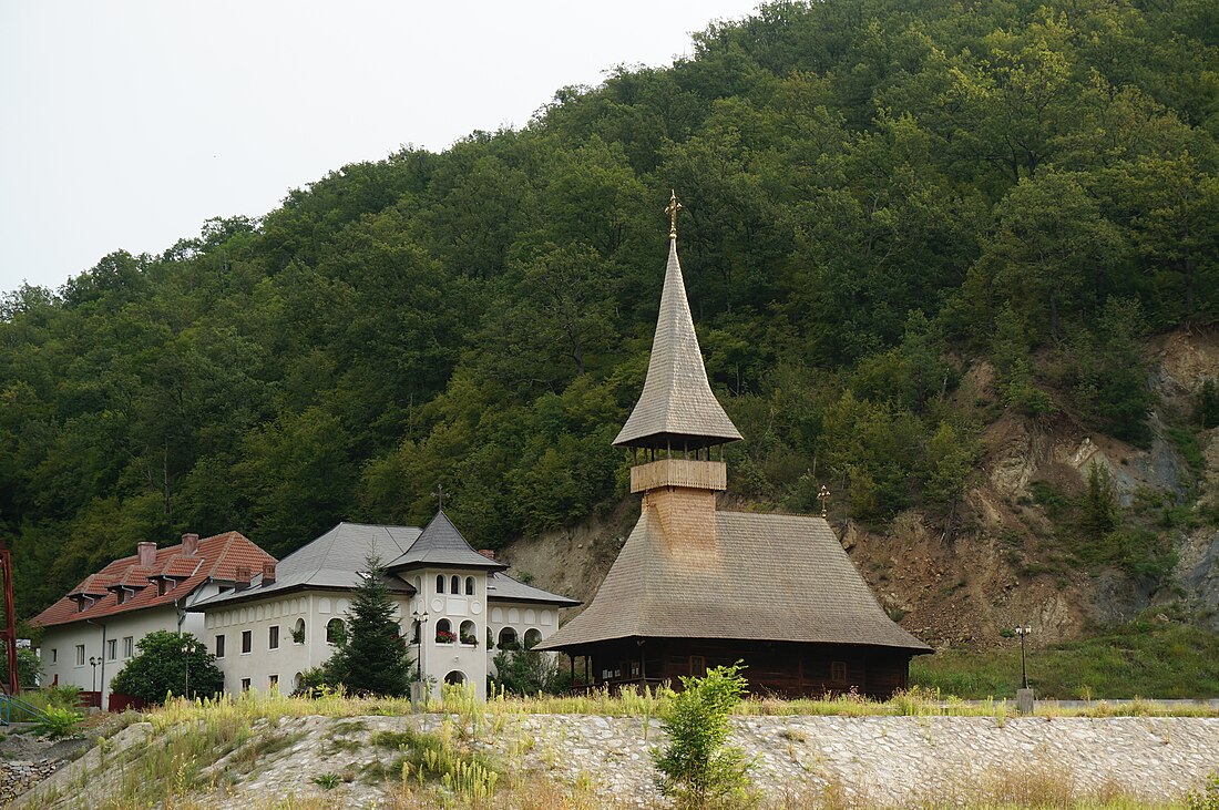 Mănăstirea Vodița