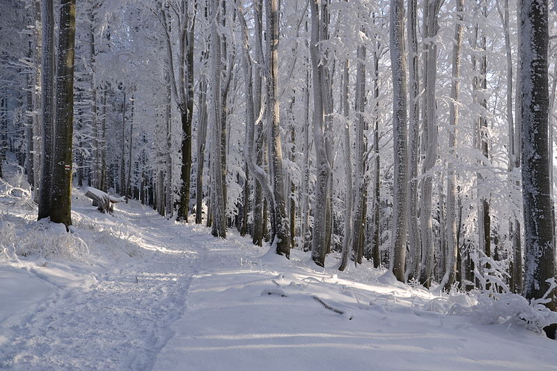 File:Moravskoslezské Beskydy - zima 2014 (by Pudelek) 02.JPG