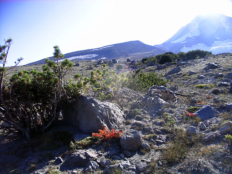 File:Mount Hood Toward Cooper Spur - Flickr - Joe Parks.jpg