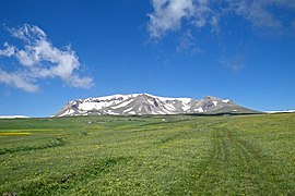 სპიტაკასარი