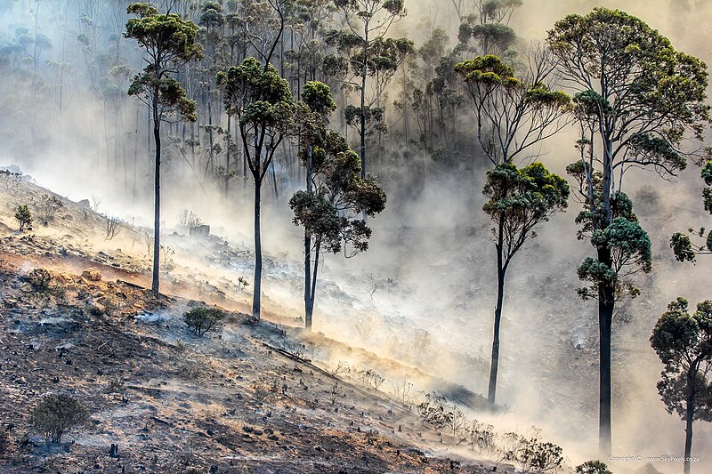 File:Muizenberg Mountian Fires in Cape Town of 2015.jpg