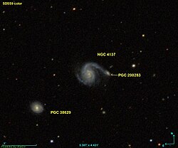 Выгляд NGC 4137